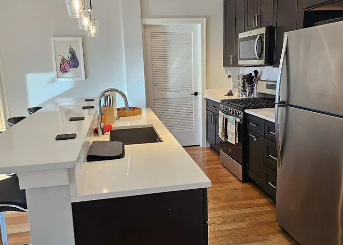 Updated 3 Bedroom Downtown Pilsen Appartement Chicago