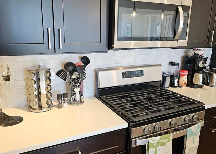 Updated 3 Bedroom Downtown Pilsen Apartment Chicago