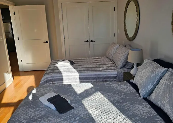 Apartment Updated 3 Bedroom Downtown Pilsen Chicago