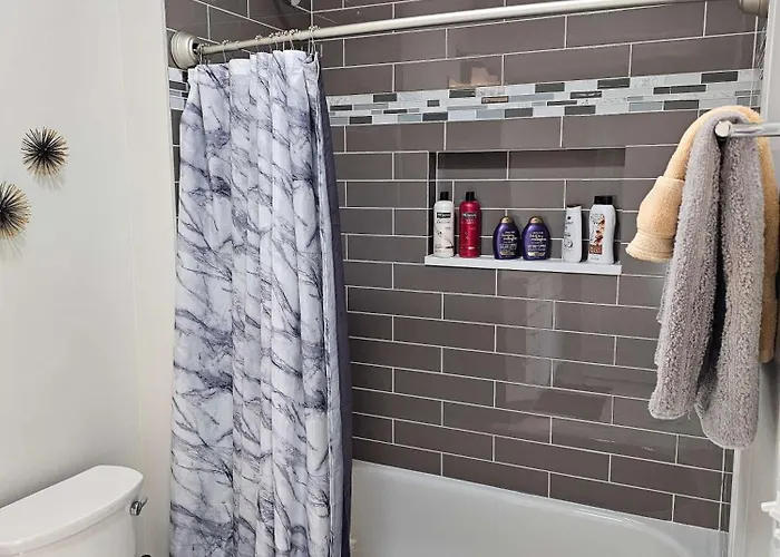 Updated 3 Bedroom Downtown Pilsen *
