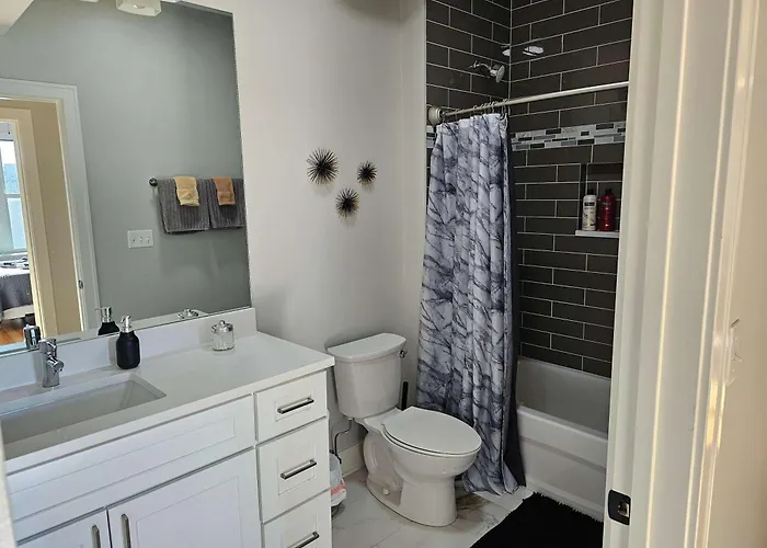 Apartment Updated 3 Bedroom Downtown Pilsen Chicago